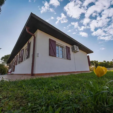 Appartement Conero *